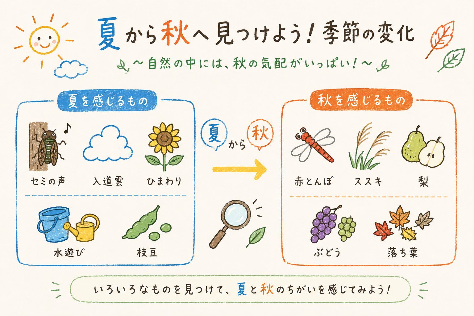 夏から秋へ見つけよう!季節の変化