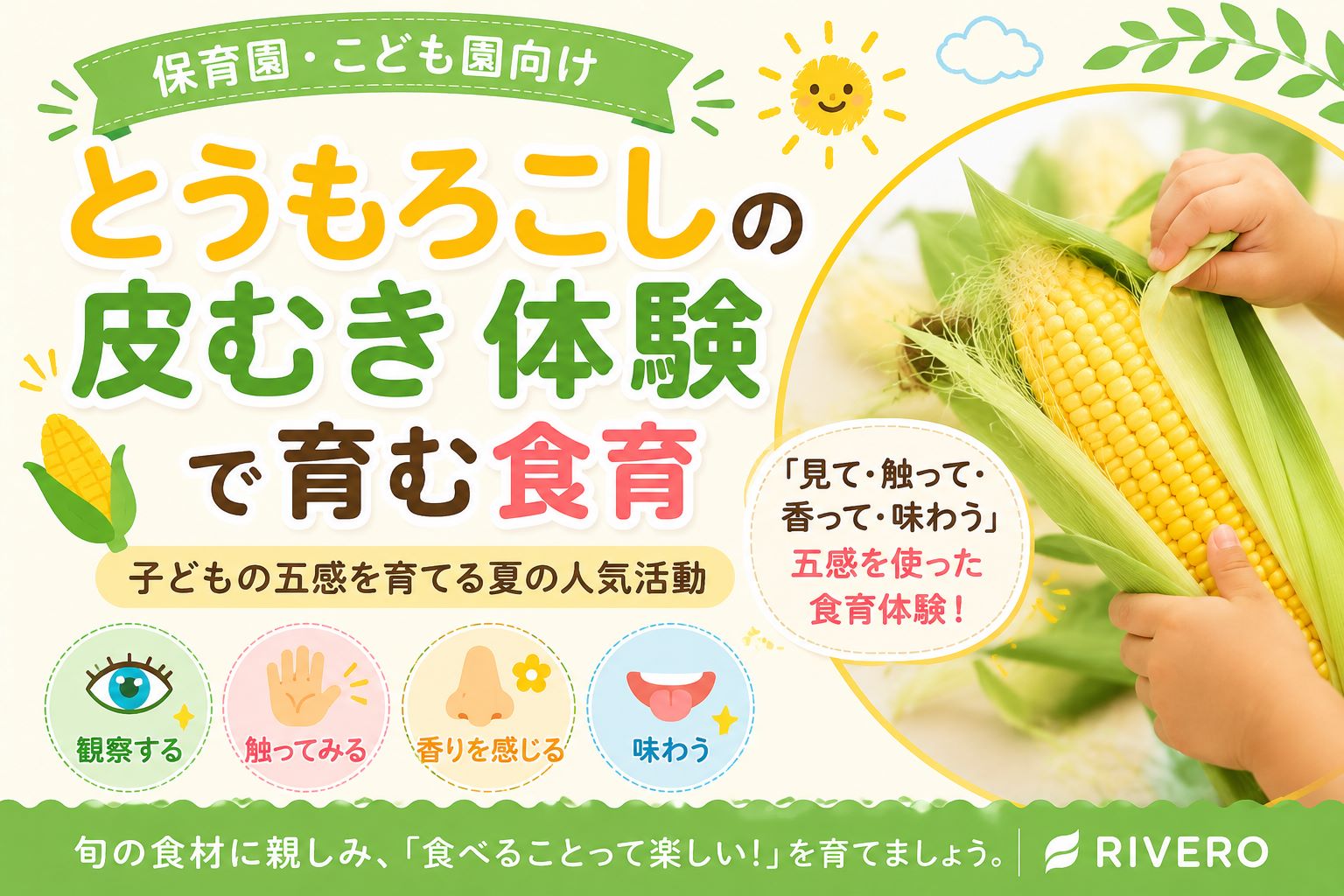 とうもろこしの皮むき体験で育む食育｜子どもの五感を育てる夏の人気活動